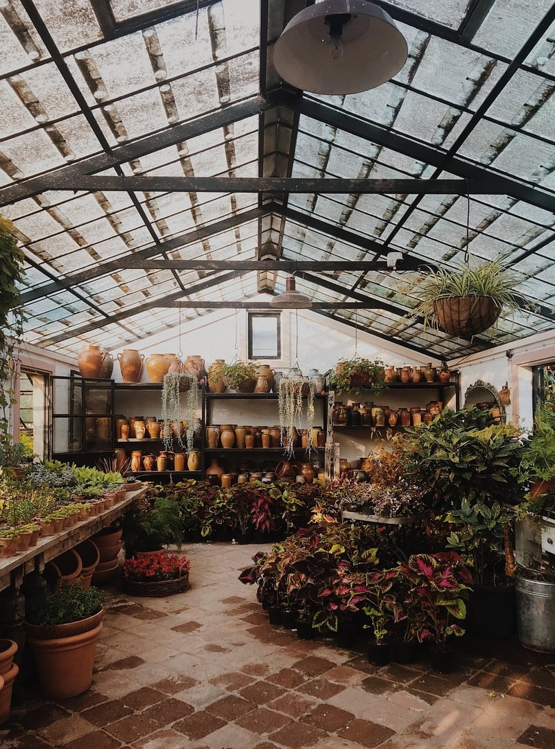 Urban Jungle Inspiration