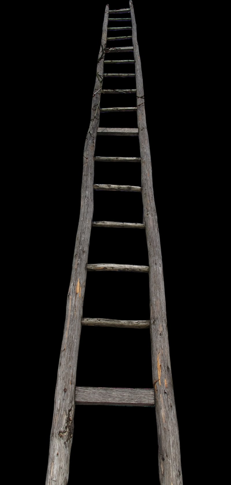 Vintage Ladder Shelf